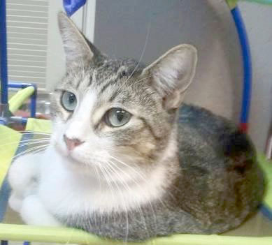 Someone to love: Elliott